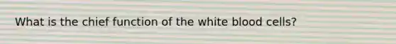 What is the chief function of the white blood cells?