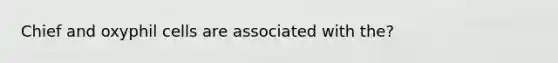 Chief and oxyphil cells are associated with the?