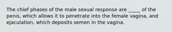 The chief phases of the male sexual response are _____ of the penis, which allows it to penetrate into the female vagina, and ejaculation, which deposits semen in the vagina.