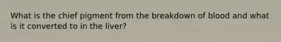 What is the chief pigment from the breakdown of blood and what is it converted to in the liver?