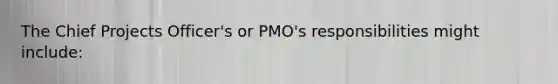 The Chief Projects Officer's or PMO's responsibilities might include: