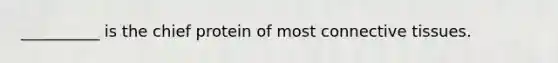 __________ is the chief protein of most connective tissues.​