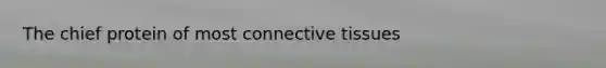 The chief protein of most connective tissues