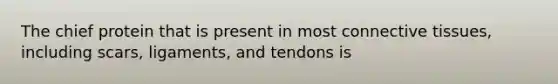 The chief protein that is present in most connective tissues, including scars, ligaments, and tendons is