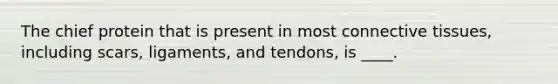 The chief protein that is present in most connective tissues, including scars, ligaments, and tendons, is ____.