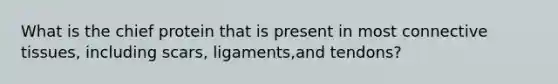 What is the chief protein that is present in most connective tissues, including scars, ligaments,and tendons?