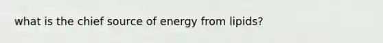 what is the chief source of energy from lipids?