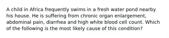 A child in Africa frequently swims in a fresh water pond nearby his house. He is suffering from chronic organ enlargement, abdominal pain, diarrhea and high white blood cell count. Which of the following is the most likely cause of this condition?