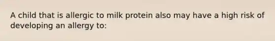 A child that is allergic to milk protein also may have a high risk of developing an allergy to: