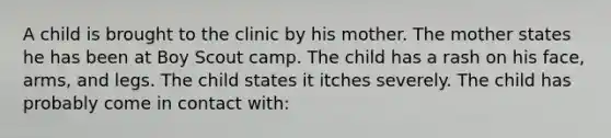 A child is brought to the clinic by his mother. The mother states he has been at Boy Scout camp. The child has a rash on his face, arms, and legs. The child states it itches severely. The child has probably come in contact with: