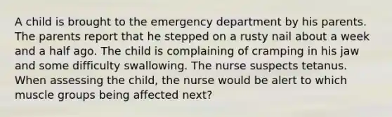 A child is brought to the emergency department by his parents. The parents report that he stepped on a rusty nail about a week and a half ago. The child is complaining of cramping in his jaw and some difficulty swallowing. The nurse suspects tetanus. When assessing the child, the nurse would be alert to which muscle groups being affected next?