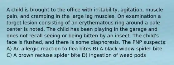 A child is brought to the office with irritability, agitation, muscle pain, and cramping in the large leg muscles. On examination a target lesion consisting of an erythematous ring around a pale center is noted. The child has been playing in the garage and does not recall seeing or being bitten by an insect. The child's face is flushed, and there is some diaphoresis. The PNP suspects: A) An allergic reaction to flea bites B) A black widow spider bite C) A brown recluse spider bite D) Ingestion of weed pods