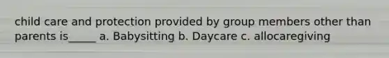 child care and protection provided by group members other than parents is_____ a. Babysitting b. Daycare c. allocaregiving