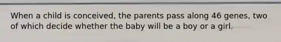 ​When a child is conceived, the parents pass along 46 genes, two of which decide whether the baby will be a boy or a girl.