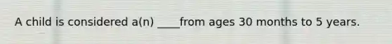 A child is considered a(n) ____from ages 30 months to 5 years.