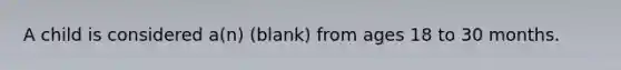 A child is considered a(n) (blank) from ages 18 to 30 months.