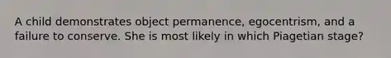 A child demonstrates object permanence, egocentrism, and a failure to conserve. She is most likely in which Piagetian stage?