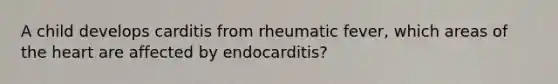 A child develops carditis from rheumatic fever, which areas of the heart are affected by endocarditis?