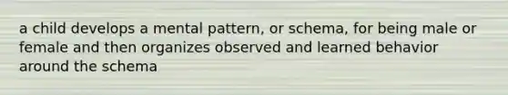 a child develops a mental pattern, or schema, for being male or female and then organizes observed and learned behavior around the schema