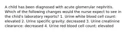 A child has been diagnosed with acute glomerular nephritis. Which of the following changes would the nurse expect to see in the child's laboratory reports? 1. Urine white blood cell count: elevated 2. Urine specific gravity: decreased 3. Urine creatinine clearance: decreased 4. Urine red blood cell count: elevated