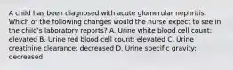 A child has been diagnosed with acute glomerular nephritis. Which of the following changes would the nurse expect to see in the child's laboratory reports? A. Urine white blood cell count: elevated B. Urine red blood cell count: elevated C. Urine creatinine clearance: decreased D. Urine specific gravity: decreased