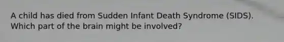 A child has died from Sudden Infant Death Syndrome (SIDS). Which part of the brain might be involved?​