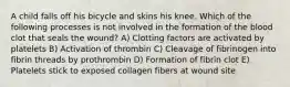 A child falls off his bicycle and skins his knee. Which of the following processes is not involved in the formation of the blood clot that seals the wound? A) Clotting factors are activated by platelets B) Activation of thrombin C) Cleavage of fibrinogen into fibrin threads by prothrombin D) Formation of fibrin clot E) Platelets stick to exposed collagen fibers at wound site