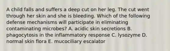 A child falls and suffers a deep cut on her leg. The cut went through her skin and she is bleeding. Which of the following defense mechanisms will participate in eliminating contaminating microbes? A. acidic skin secretions B. phagocytosis in the inflammatory response C. lysozyme D. normal skin flora E. mucociliary escalator