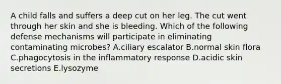 A child falls and suffers a deep cut on her leg. The cut went through her skin and she is bleeding. Which of the following defense mechanisms will participate in eliminating contaminating microbes? A.ciliary escalator B.normal skin flora C.phagocytosis in the inflammatory response D.acidic skin secretions E.lysozyme