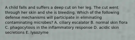 A child falls and suffers a deep cut on her leg. The cut went through her skin and she is bleeding. Which of the following defense mechanisms will participate in eliminating contaminating microbes? A. ciliary escalator B. normal skin flora C. phagocytosis in the inflammatory response D. acidic skin secretions E. lysozyme