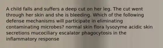 A child falls and suffers a deep cut on her leg. The cut went through her skin and she is bleeding. Which of the following defense mechanisms will participate in eliminating contaminating microbes? normal skin flora lysozyme acidic skin secretions mucociliary escalator phagocytosis in the inflammatory response