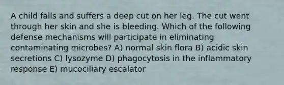 A child falls and suffers a deep cut on her leg. The cut went through her skin and she is bleeding. Which of the following defense mechanisms will participate in eliminating contaminating microbes? A) normal skin flora B) acidic skin secretions C) lysozyme D) phagocytosis in the inflammatory response E) mucociliary escalator