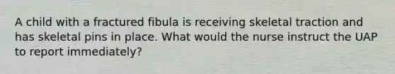 A child with a fractured fibula is receiving skeletal traction and has skeletal pins in place. What would the nurse instruct the UAP to report immediately?