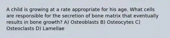 A child is growing at a rate appropriate for his age. What cells are responsible for the secretion of bone matrix that eventually results in bone growth? A) Osteoblasts B) Osteocytes C) Osteoclasts D) Lamellae