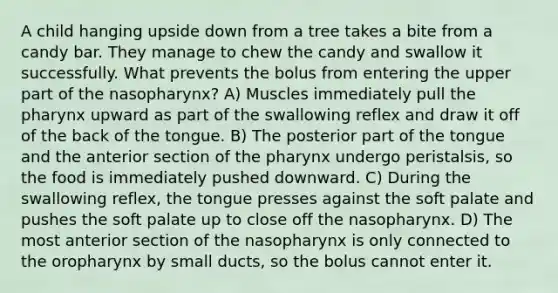 A child hanging upside down from a tree takes a bite from a candy bar. They manage to chew the candy and swallow it successfully. What prevents the bolus from entering the upper part of the nasopharynx? A) Muscles immediately pull the pharynx upward as part of the swallowing reflex and draw it off of the back of the tongue. B) The posterior part of the tongue and the anterior section of the pharynx undergo peristalsis, so the food is immediately pushed downward. C) During the swallowing reflex, the tongue presses against the soft palate and pushes the soft palate up to close off the nasopharynx. D) The most anterior section of the nasopharynx is only connected to the oropharynx by small ducts, so the bolus cannot enter it.