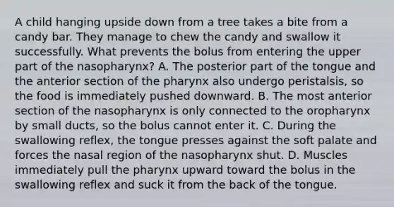 A child hanging upside down from a tree takes a bite from a candy bar. They manage to chew the candy and swallow it successfully. What prevents the bolus from entering the upper part of the nasopharynx? A. The posterior part of the tongue and the anterior section of <a href='https://www.questionai.com/knowledge/ktW97n6hGJ-the-pharynx' class='anchor-knowledge'>the pharynx</a> also undergo peristalsis, so the food is immediately pushed downward. B. The most anterior section of the nasopharynx is only connected to the oropharynx by small ducts, so the bolus cannot enter it. C. During the swallowing reflex, the tongue presses against the soft palate and forces the nasal region of the nasopharynx shut. D. Muscles immediately pull the pharynx upward toward the bolus in the swallowing reflex and suck it from the back of the tongue.