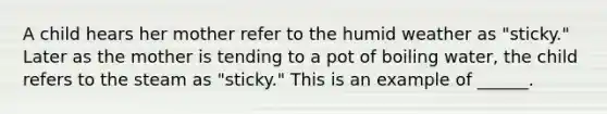 A child hears her mother refer to the humid weather as "sticky." Later as the mother is tending to a pot of boiling water, the child refers to the steam as "sticky." This is an example of ______.