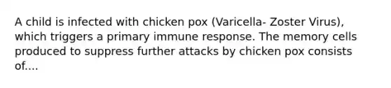 A child is infected with chicken pox (Varicella- Zoster Virus), which triggers a primary immune response. The memory cells produced to suppress further attacks by chicken pox consists of....