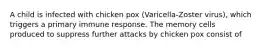 A child is infected with chicken pox (Varicella-Zoster virus), which triggers a primary immune response. The memory cells produced to suppress further attacks by chicken pox consist of