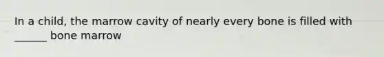 In a child, the marrow cavity of nearly every bone is filled with ______ bone marrow