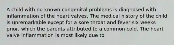 A child with no known congenital problems is diagnosed with inflammation of the heart valves. The medical history of the child is unremarkable except for a sore throat and fever six weeks prior, which the parents attributed to a common cold. The heart valve inflammation is most likely due to