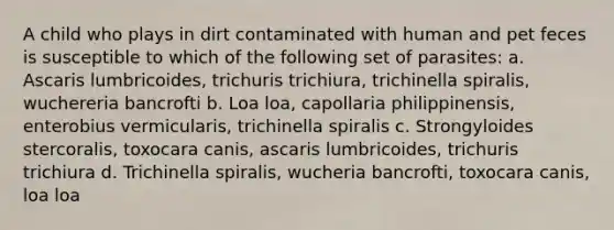 A child who plays in dirt contaminated with human and pet feces is susceptible to which of the following set of parasites: a. Ascaris lumbricoides, trichuris trichiura, trichinella spiralis, wuchereria bancrofti b. Loa loa, capollaria philippinensis, enterobius vermicularis, trichinella spiralis c. Strongyloides stercoralis, toxocara canis, ascaris lumbricoides, trichuris trichiura d. Trichinella spiralis, wucheria bancrofti, toxocara canis, loa loa