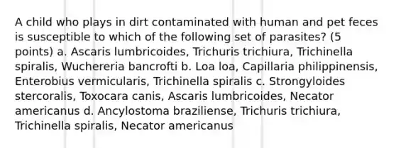 A child who plays in dirt contaminated with human and pet feces is susceptible to which of the following set of parasites? (5 points) a. Ascaris lumbricoides, Trichuris trichiura, Trichinella spiralis, Wuchereria bancrofti b. Loa loa, Capillaria philippinensis, Enterobius vermicularis, Trichinella spiralis c. Strongyloides stercoralis, Toxocara canis, Ascaris lumbricoides, Necator americanus d. Ancylostoma braziliense, Trichuris trichiura, Trichinella spiralis, Necator americanus