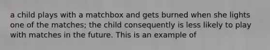 a child plays with a matchbox and gets burned when she lights one of the matches; the child consequently is less likely to play with matches in the future. This is an example of