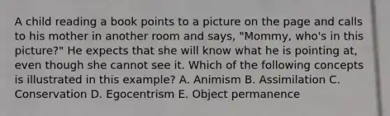 A child reading a book points to a picture on the page and calls to his mother in another room and says, "Mommy, who's in this picture?" He expects that she will know what he is pointing at, even though she cannot see it. Which of the following concepts is illustrated in this example? A. Animism B. Assimilation C. Conservation D. Egocentrism E. Object permanence