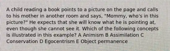 A child reading a book points to a picture on the page and calls to his mother in another room and says, "Mommy, who's in this picture?" He expects that she will know what he is pointing at, even though she cannot see it. Which of the following concepts is illustrated in this example? A Animism B Assimilation C Conservation D Egocentrism E Object permanence