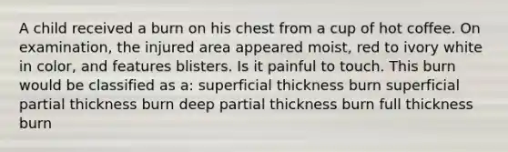 A child received a burn on his chest from a cup of hot coffee. On examination, the injured area appeared moist, red to ivory white in color, and features blisters. Is it painful to touch. This burn would be classified as a: superficial thickness burn superficial partial thickness burn deep partial thickness burn full thickness burn