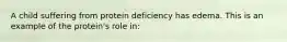 A child suffering from protein deficiency has edema. This is an example of the protein's role in: