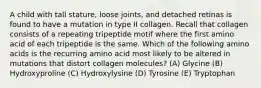 A child with tall stature, loose joints, and detached retinas is found to have a mutation in type II collagen. Recall that collagen consists of a repeating tripeptide motif where the first amino acid of each tripeptide is the same. Which of the following amino acids is the recurring amino acid most likely to be altered in mutations that distort collagen molecules? (A) Glycine (B) Hydroxyproline (C) Hydroxylysine (D) Tyrosine (E) Tryptophan