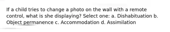 If a child tries to change a photo on the wall with a remote control, what is she displaying? Select one: a. Dishabituation b. Object permanence c. Accommodation d. Assimilation